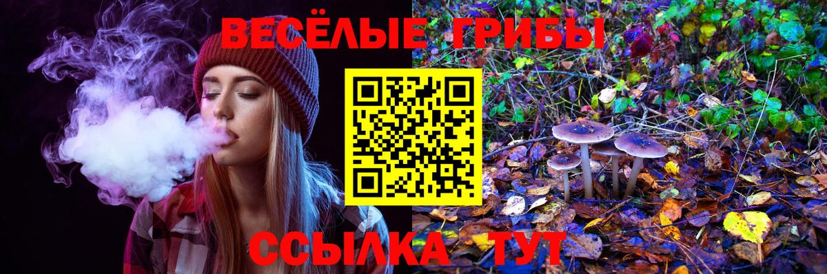 Галлюциногенные грибы мухоморы Унеча