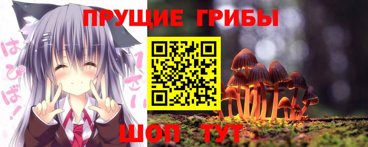 Псилоцибиновые грибы Psilocybe  Вход с VPN  Унеча 